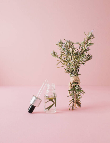 Sprigs of rosemary and bottle with pipette on the pink table. Creative minimalist concept. Copy space