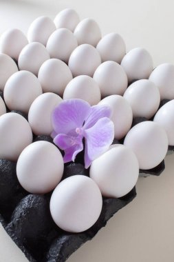 Beyaz arka planda siyah karton kutularda beyaz tavuk yumurtası ve orkide çiçeği. Yaratıcı kopyalama alanı düzlüğü