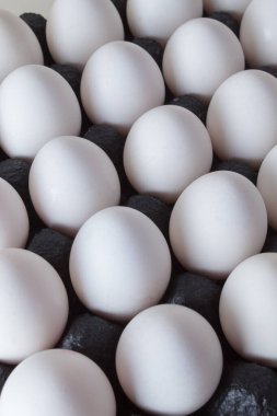 Siyah karton kutularda taze beyaz tavuk yumurtası. Yaratıcı kopya alanı üst görünümü