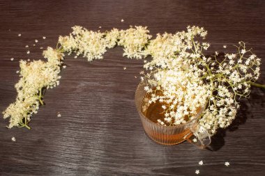 Bir fincan çay, Avrupa mürver böğürtleni, masada çiğ ve kuru çiçek. Doğal iyileşme kavramı. Düz yatıyordu