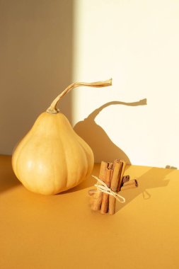 Butternut squash and cinnamon sticks on orange on sunlight. Still life clipart