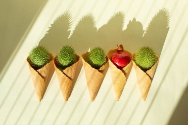 Datura fruits and pomegranate in a ice cream cone on sunlight. Minimalism flat lay clipart