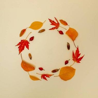 Düşmüş sarı kollar ve fındıklardan yapılmış yaratıcı sonbahar yerleşimi. Minimum düzlük. Doğa konsepti.