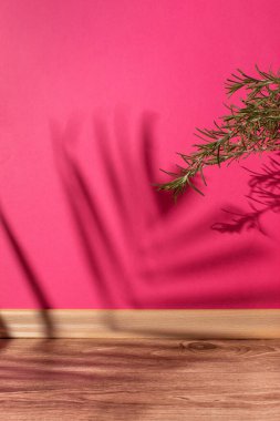 Pink wall in the room with wooden floor and green flowers. Enterior. Copy space clipart