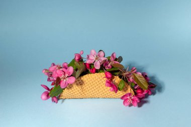 Mavi arkaplanda pembe bahar çiçekli sandviç. Kopya alanı da var..