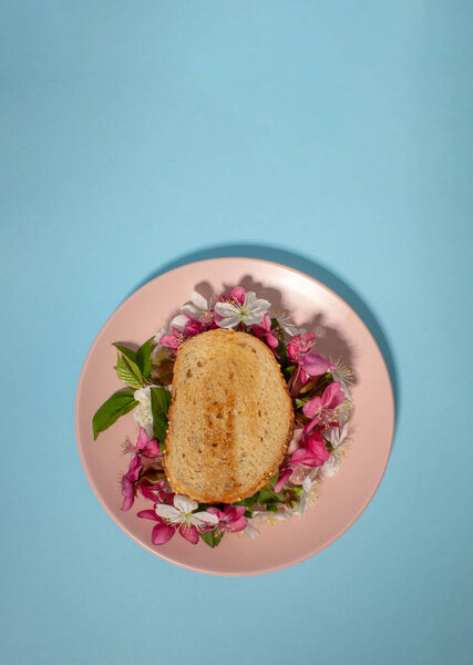 Sandwich with pink spring flowers on blue background with copy space.