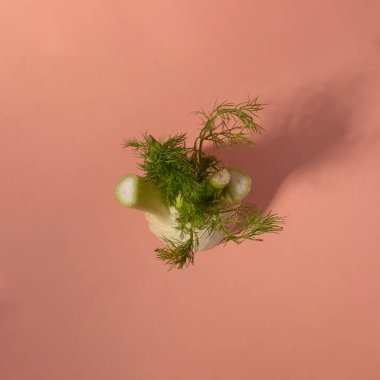 Pembe arka planda süper yemek kohlraby. en üstteki görünüm