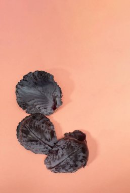 Kırmızı lahana pembe arka planda kalır. Süper yiyecek konsepti