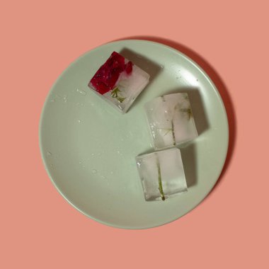 Tabakta buz küpleri içinde pembe çiçeğin yaratıcı düzenlemesi. Güneşli gün konsepti. Boşluğu kopyala