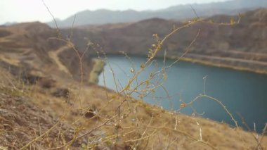 Taş ocağı gölünün arka planına karşı çöl gibi, dikenli bir bitki. 4K 'da dağ manzarası.