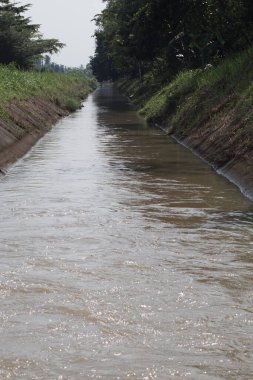 Sulama kanalları Endonezya 'daki pirinç tarlalarına su dağıtır