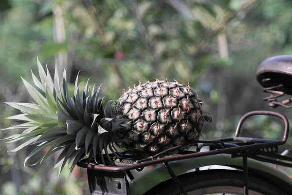 Arka Bisiklet Rafında Fotokopi Alanı Olan Ananas — Stok fotoğraf