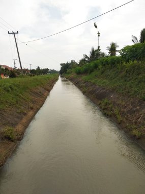 Yeşil bir bitkiyle çevrili bir nehrin dikey görüntüsü ve ormanın ortasında küçük bir yol.