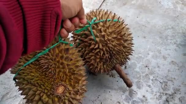 Eli Bağlı Durian — Stok video