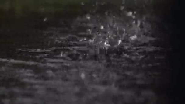 Padající Kapky Dešťové Vody Chodník — Stock video