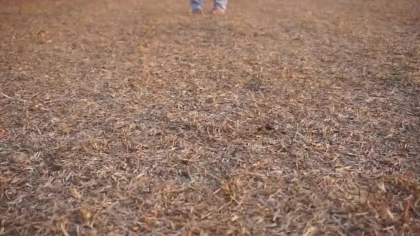 Mała Dziewczynka Spacerując Suchej Łące Trawy Bosaka — Wideo stockowe