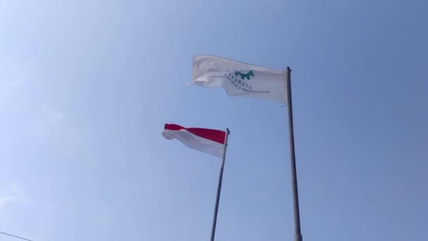 职业安全与健康旗帜和印度尼西亚国旗 — 图库视频影像