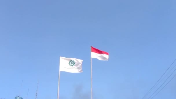 Arbetsmiljöflagga Och Indonesisk Flagga — Stockvideo
