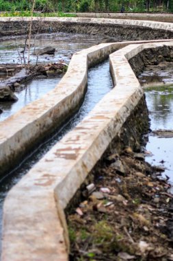 Irrigation water flows in a winding path