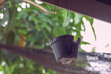 Bitkisiz asılı plastik bir tencerenin düşük açılı görüntüsü