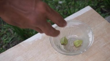 Küçük bir cam kaseye biraz kiraz koy. Çimenli kirazlar, bahçedeki ağaçlardaki yenilebilir yabani meyveler. Yer kirazı, ayrıca ciplukan, Physalis Peruviana ve İnka çileği olarak da bilinir.