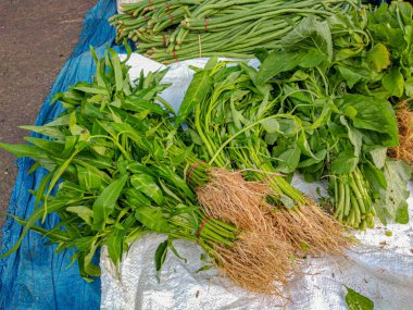 Ispanak, uzun fasulye ve Endonezya geleneksel pazarında satılan diğer sebzeler. yüksek açılı görünüm. 