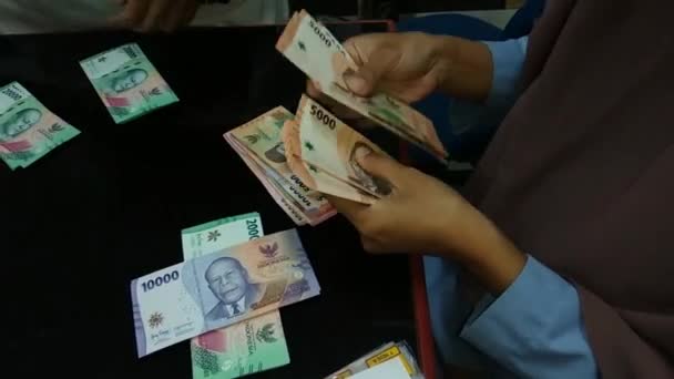 Kadınların Para Sayma Görüntülerine Yakından Bakın — Stok video