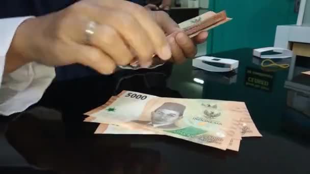 Close View Woman Hands Counting Money — Stock Video