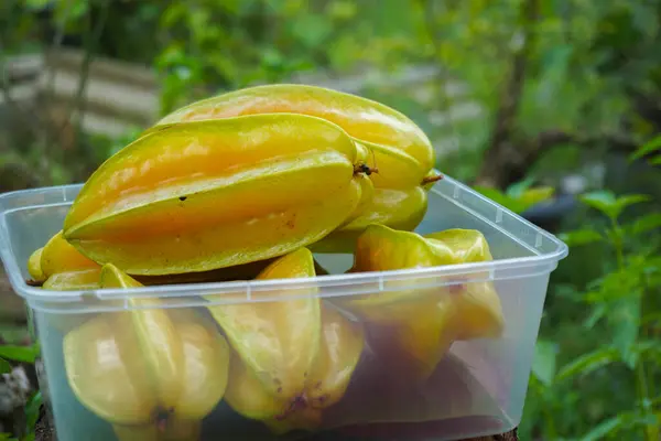 Taze toplanmış yıldız meyvesi veya karambola (Averrhoa carambola) yakın plan görüntüsü)