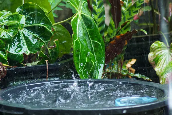 Yağmur suyu toplama ve daha sonra sulama amacıyla yağmur suyu tutma sistemleri