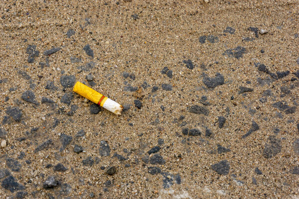 сигаретные окурки, брошенные небрежно на дороге. Крупный план с копировальным пространством