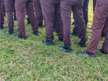 İşçiler çim tarlasında sıraya girerler.