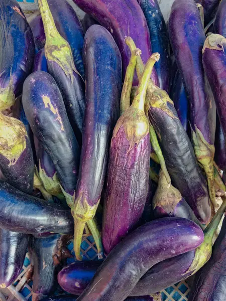 stock image eggplants at the farmer's market that are wilted and unsold