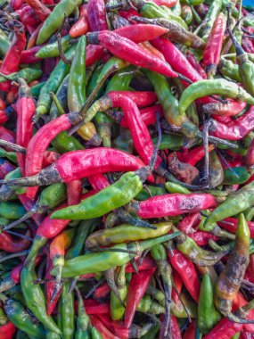 Düşük kalite kırmızı biber, çünkü çürümeye başladı.