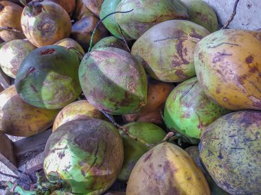 Tahta bir sandıkta hindistan cevizi yığını