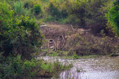 Nehir kıyısında terk edilmiş ahşap bir tekne.