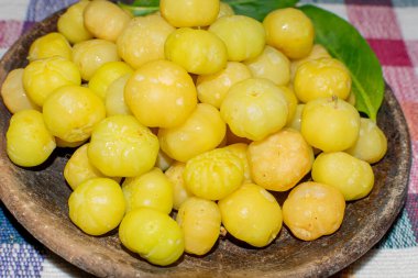 Yıldız Bektaşi (Phyllanthus acidus Skeels) Tropikal bölgelerde yetişen asit yeşili egzotik meyveler. Tipik bir tabakta kareli bir masa örtüsünde servis edilir.