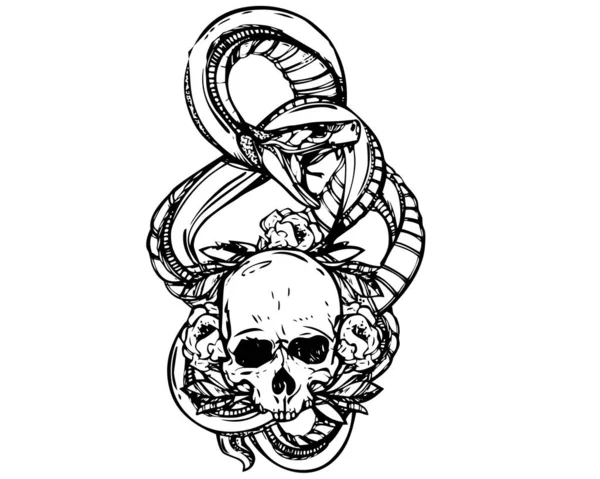 Crânio com desenho vetorial de cobra - TemplateMonster