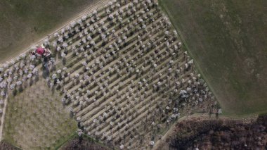 Watchtower Mandlonove hüzünlü Çekoslov Mandloov rozhledna a sad v Hustopech, Çek Cumhuriyeti, Avrupa, hava manzarası
