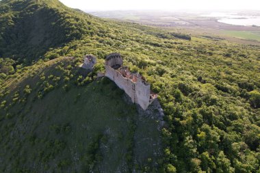 Çiftlik inekleri için gece manzarası parlayan inek kulübesi manzarası, modern tarım binası gece ışıklarıyla parıldıyor.