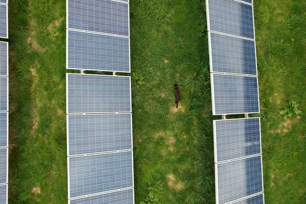 Modern Güneş Enerjisi Santrali Fotovoltaik Paneller Yeşil Enerji Üretimi Yeni — Stok fotoğraf