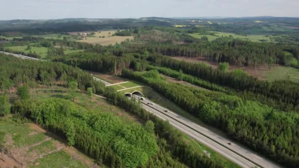Pont Pour Faune Ecoduct Biocoridor Pour Faune Est Passage Supérieur — Video