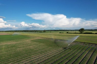 Podebrady, Çek Cumhuriyeti - 24 Haziran 2023: Su fıskiyesi sulama sistemi, irigasyon sistemli tarım alanı, hava manzarası