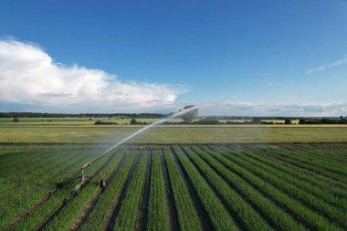 Podebrady, Çek Cumhuriyeti - 24 Haziran 2023: Su fıskiyesi sulama sistemi, irigasyon sistemli tarım alanı, hava manzarası