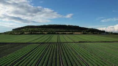 Avrupa 'da kuraklık, su püskürtme sistemleri, irigasyon sistemli tarım alanı, hava manzarası, modern yoğun tarım, Avrupa Birliği, fıskiye sistemleri teknolojisi