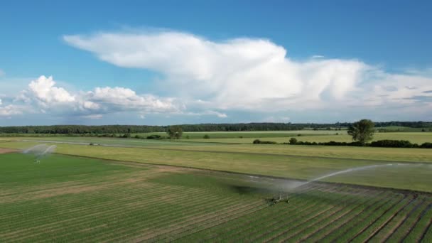 Посухи Європі Системи Зрошення Спринклерної Води Сільськогосподарське Поле Системами Іригації — стокове відео
