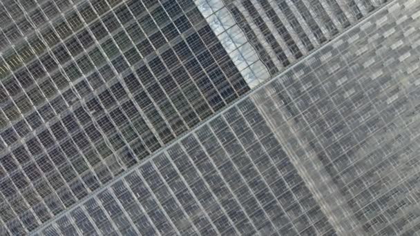 Скло Теплиці Зверху Сонячну Погоду Великі Скляні Будинки Краєвиду Панорами — стокове відео