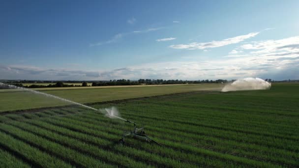 欧洲的干旱 洒水灌溉系统 有灌溉系统的农田 空中全景景观 现代集约农业 欧洲联盟 洒水系统技术 — 图库视频影像