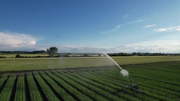Kekeringan Eropa Sistem Irigasi Penyiram Air Ladang Pertanian Dengan Sistem — Stok Video
