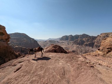 Desert landscape near ad-deir at beautiful sunset in Petra ruin and ancient city of Nabatean kingdom, Jordan, Arab, Asia, UNESCO World Heritage Site